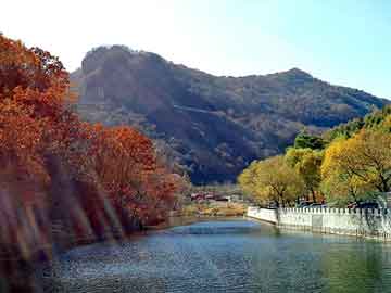 新澳门二四六天天彩，花纹铝板规格